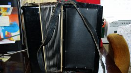 DSC08231.jpg