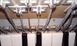 20170331_195647.jpg